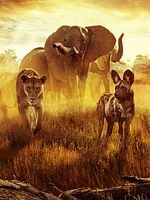 Pôster de Sobrevivendo ao Paraíso: Contos de Famílias