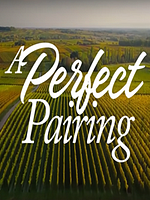 Pôster de Combinação Perfeita