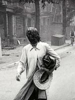 Pôster de A História Natural da Destruição