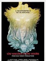 Pôster de Mistério no Bosque