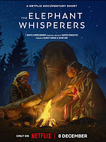 Pôster de Como Cuidar de um Bebê Elefante