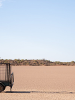 Pôster de The Survival Of Kindness