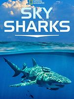 Pôster de Tubarões Visto de Cima