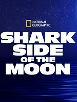 Pôster de Tubarões à Noite