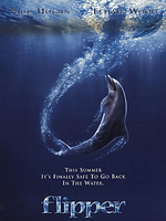 Pôster de Flipper