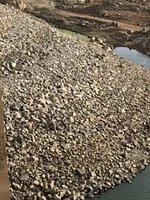 Pôster de Memórias da Chuva