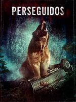 Pôster de Perseguidos