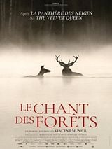 Pôster de O Canto da Floresta