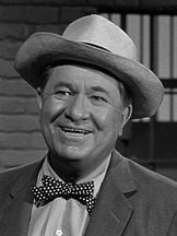 foto de Stuart Erwin