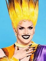 foto de Elektra Fence