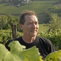 Foto Stefano Bellotti