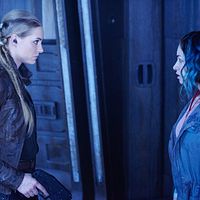 Foto Jessica Sipos