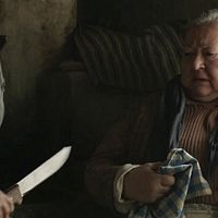 Foto Piroska Molnár