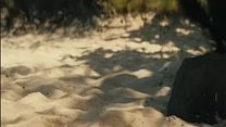imagem de Um Paraíso Perigoso Trailer Legendado