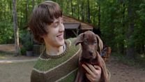 imagem de Scooby Doo A Origem 1 Temporada Teaser Original
