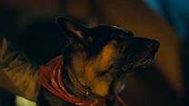 imagem de Coração Selvagem Trailer Legendado