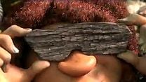 imagem de Os Croods clip (3) Original