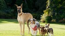 imagem de Marmaduke Trailer Original