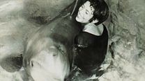 imagem de The Girl Who Talked To Dolphins Trailer Original 