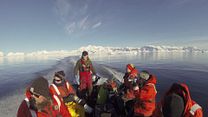 imagem de No Limite da Antártica Trailer Original