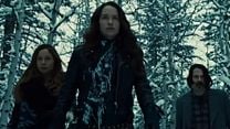 imagem de Wynonna Earp 2ª Temporada Trailer Original