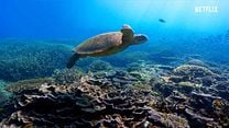 imagem de David Attenborough e Nosso Planeta Trailer Legendado