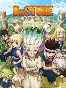 Dr. Stone