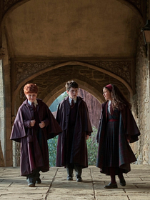 Pôster de Harry Potter - A Série