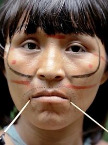 imagem de Guerreiros da Floresta Teaser Oficial