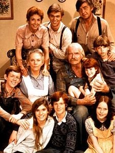 Pôster de The Waltons Temporada 9