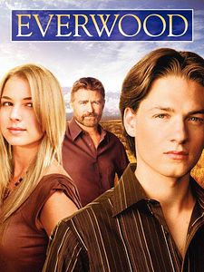 Pôster de Everwood Temporada 3