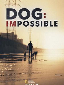 Pôster de Reabilitação Canina Temporada 2