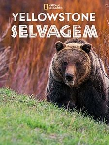 Pôster de Yellowstone Selvagem Temporada 1