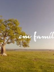 Pôster de Em Família Temporada 1