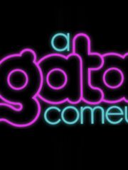 Pôster de A Gata Comeu Temporada 1