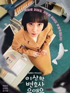 Pôster de Uma Advogada Extraordinária Temporada 2