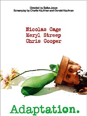 Pôster de Adaptação.