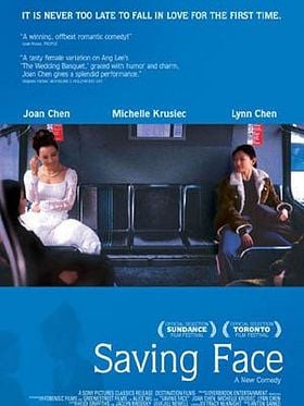 Pôster de Livrando a Cara