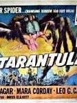 Pôster de Tarântula