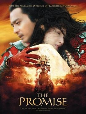 Pôster de A Promessa