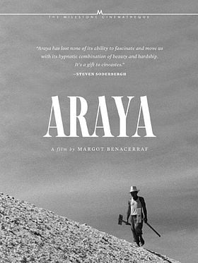 Pôster de Araya