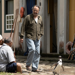 Foto Meu Amigo Pinguim