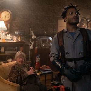 Foto Sting: Aranha Assassina