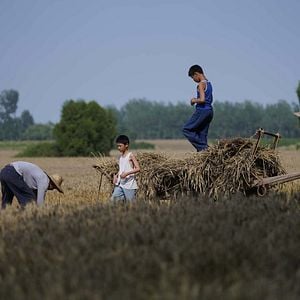 Foto  Living the Land