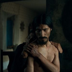 Foto    A Anatomia dos Cavalos