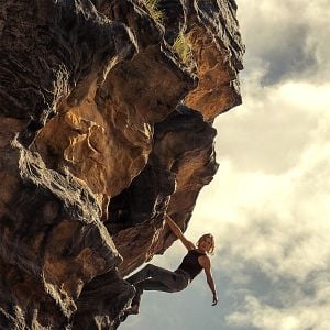 Foto O Jogo do Predador