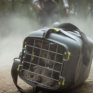 Foto Apocalipse Z: O Princípio do Fim