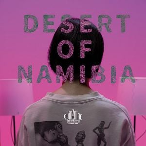 Foto Deserto da Namíbia