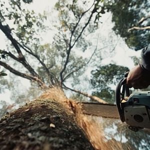 Foto Muito Além do Lucro