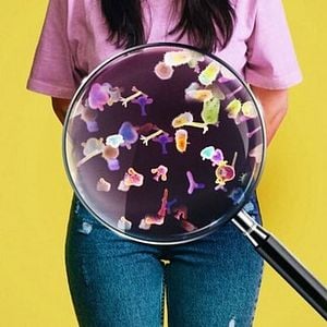 Foto Os Segredos da Alimentação